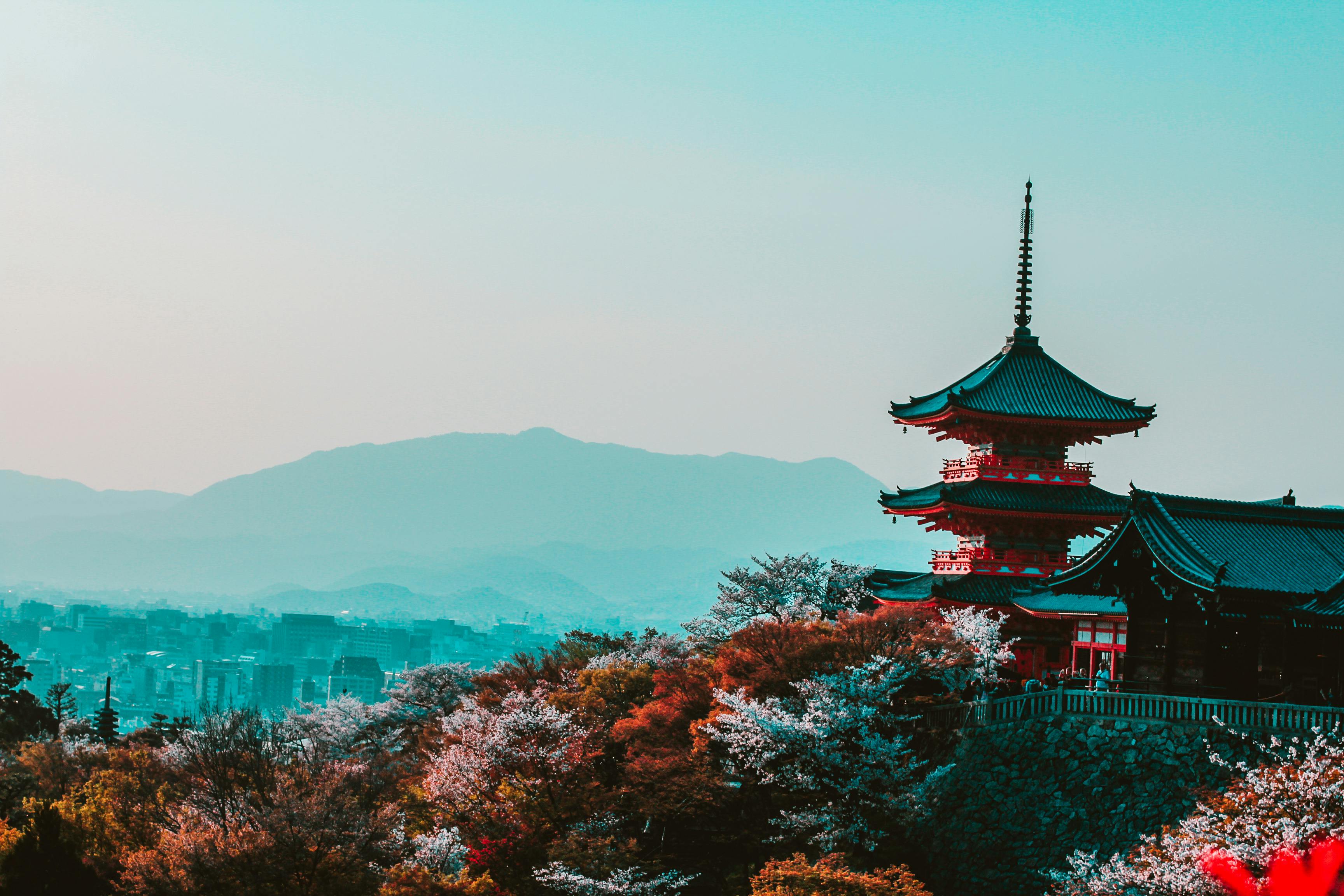 日本移民政策重大调整：经营管理签证门槛大幅上调！
